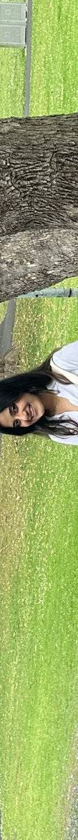 Chandwani Kashish Mahesh